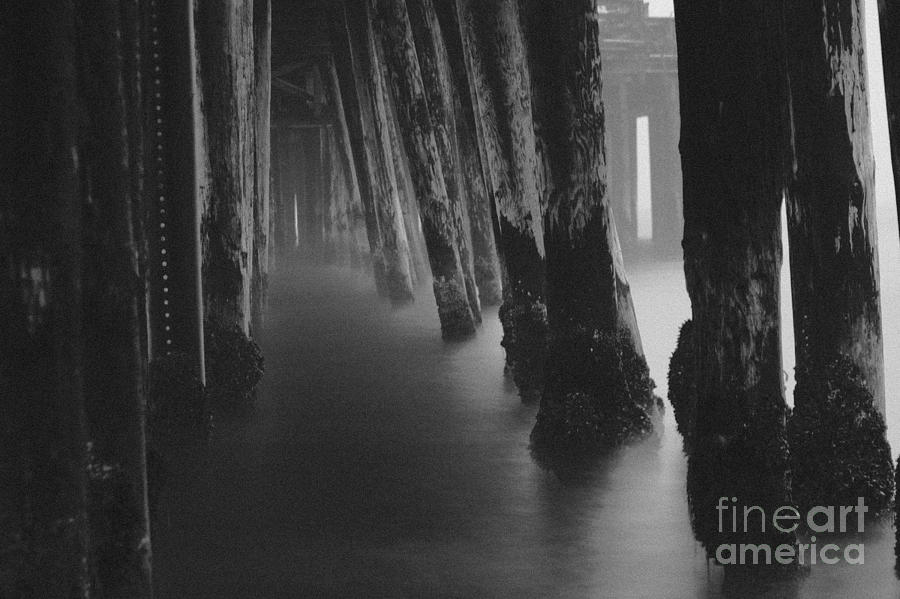 Black And White Photograph - Pillars and Fog 1 by Paul Topp