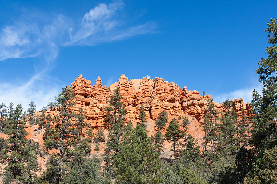 Pillars and Ridges at Red Canyon Photograph by John M Bailey