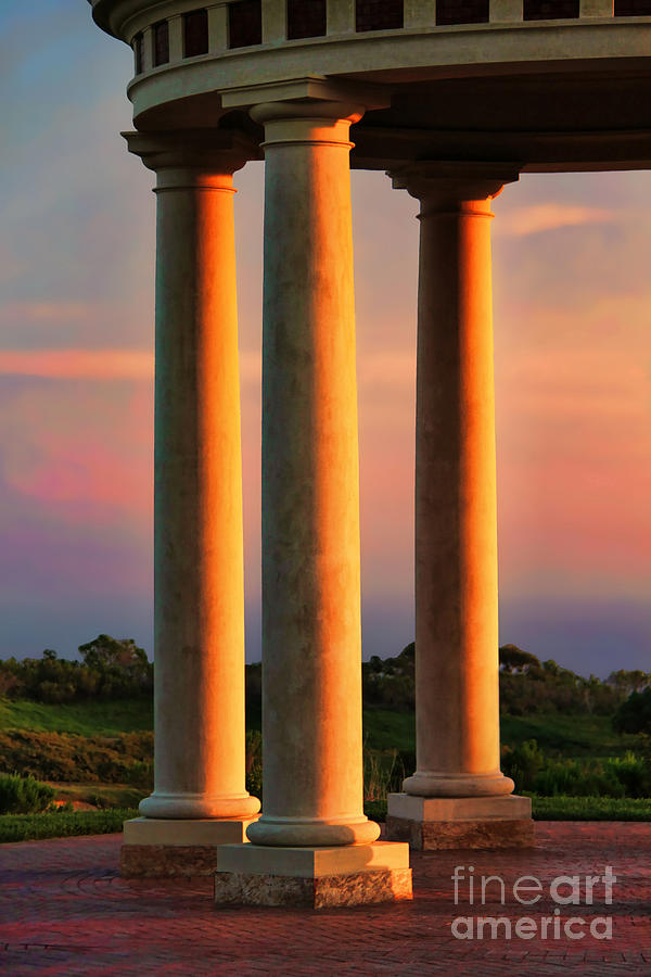 Pillars of Life Photograph by Kasia Bitner