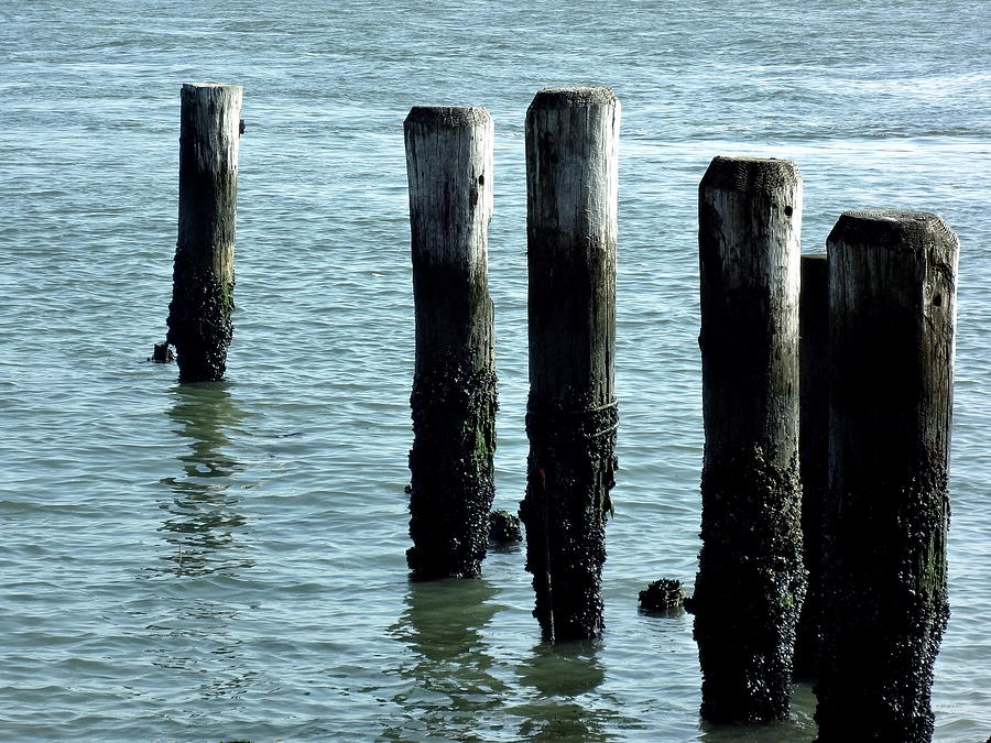 Pillars of the Sea Photograph by Deborah  Crew-Johnson