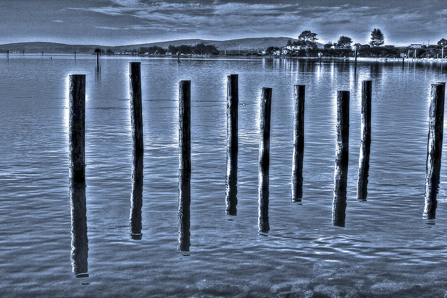 pillars on the Bay Photograph by SC Heffner