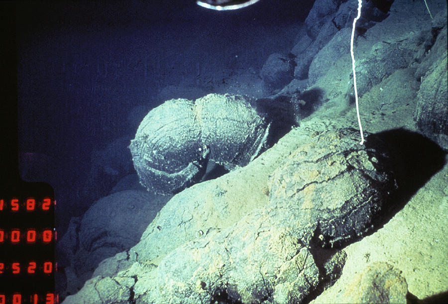 Pillow Lava Photograph by Dr Ken Macdonald/science Photo Library