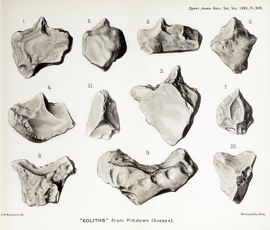 Piltdown Man Stone Tools Photograph By Paul D Stewart - Fine Art America