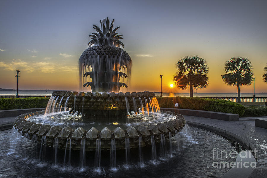 Pinapple Fountain Charleston SC Sunrise Photograph by Dale Powell