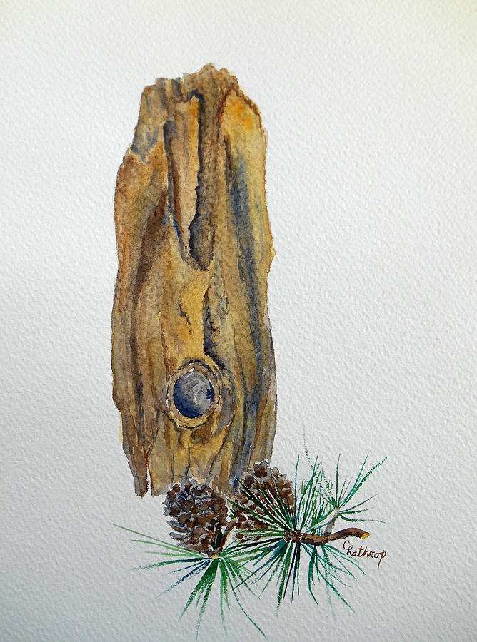 Pine Bark Painting by Christine Lathrop