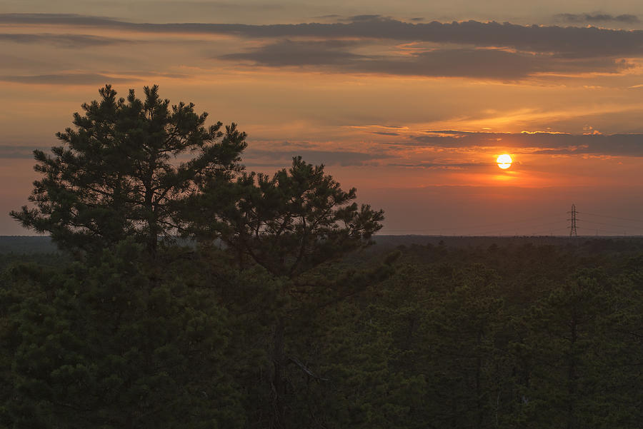 Pine Barrens Sunset NJ Photograph by Terry DeLuco