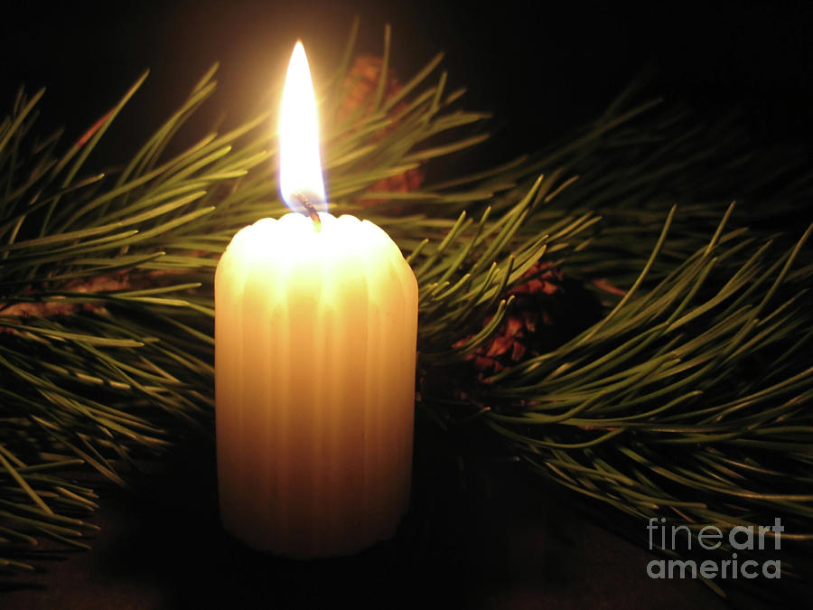 Winter Photograph - Pine Bough and Candle by Ann Horn