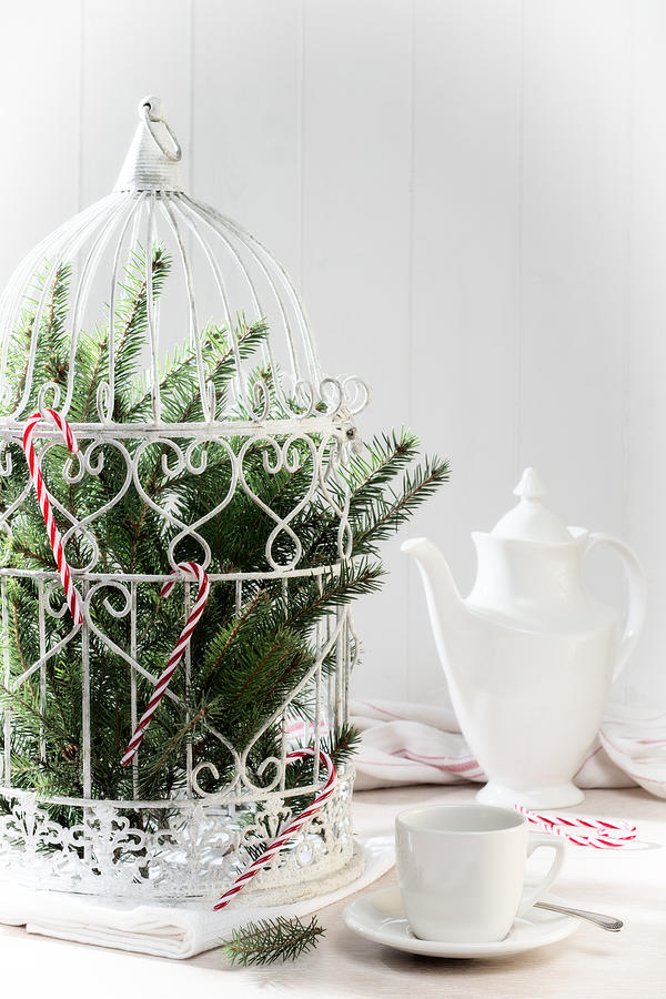 Christmas Photograph - Pine Branches Birdcage by Amanda Elwell