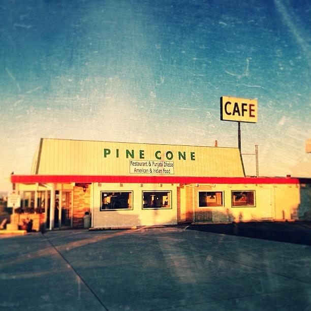 Oregon Photograph - Pine Cone Cafe #oregon #roadtrip by Melissa Duran