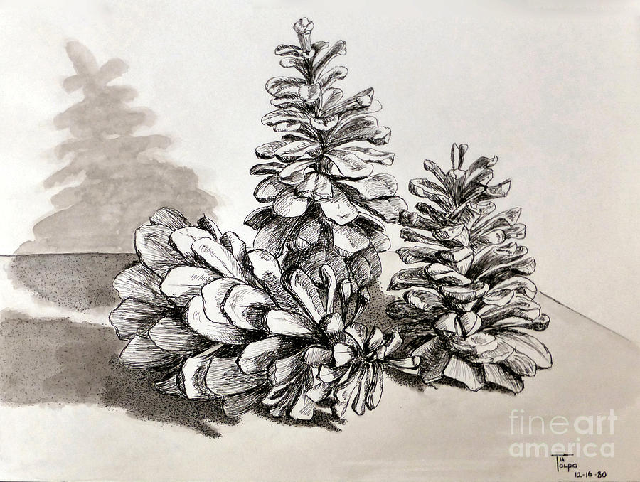 Pine Cone Trio by Art By - Ti Tolpo Bader Pine Cone Trio by Art By - Ti Tolpo Bader