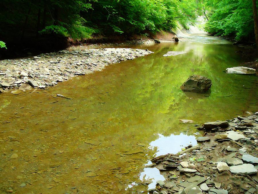Pine Creek Reflection Photograph