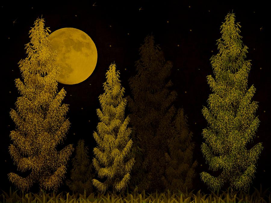 Pine Forest Moon Photograph by David Dehner