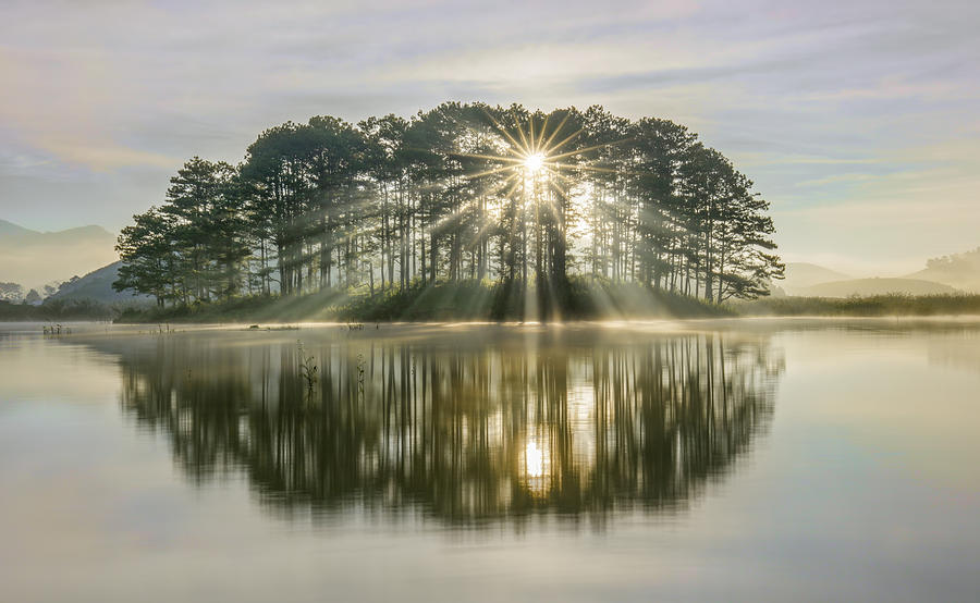 Pine island sunray Photograph by Thang Tat Nguyen