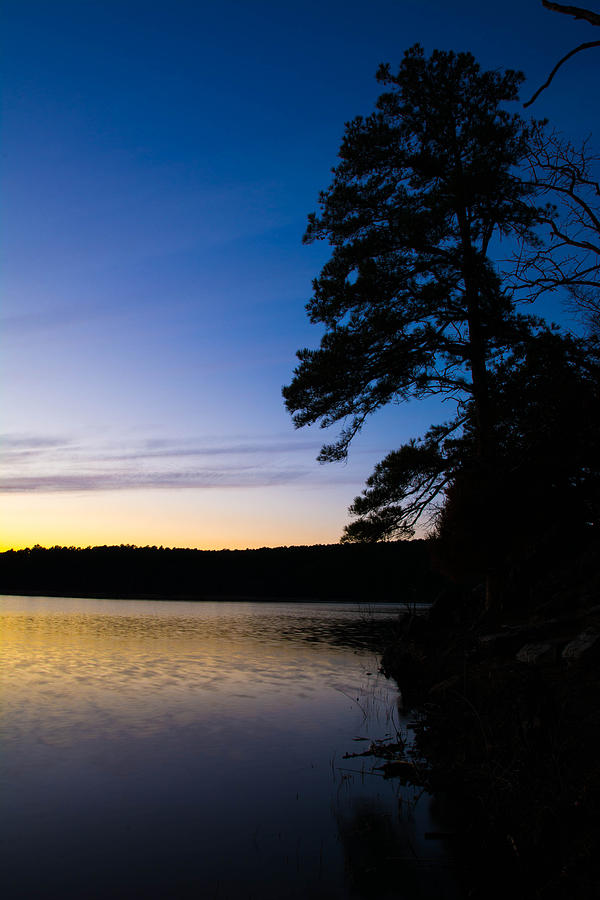 Pine on Cedar Lake Photograph by Hillis Creative