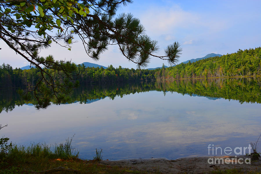 Pine Pond Perfection Photograph by Christine Dekkers