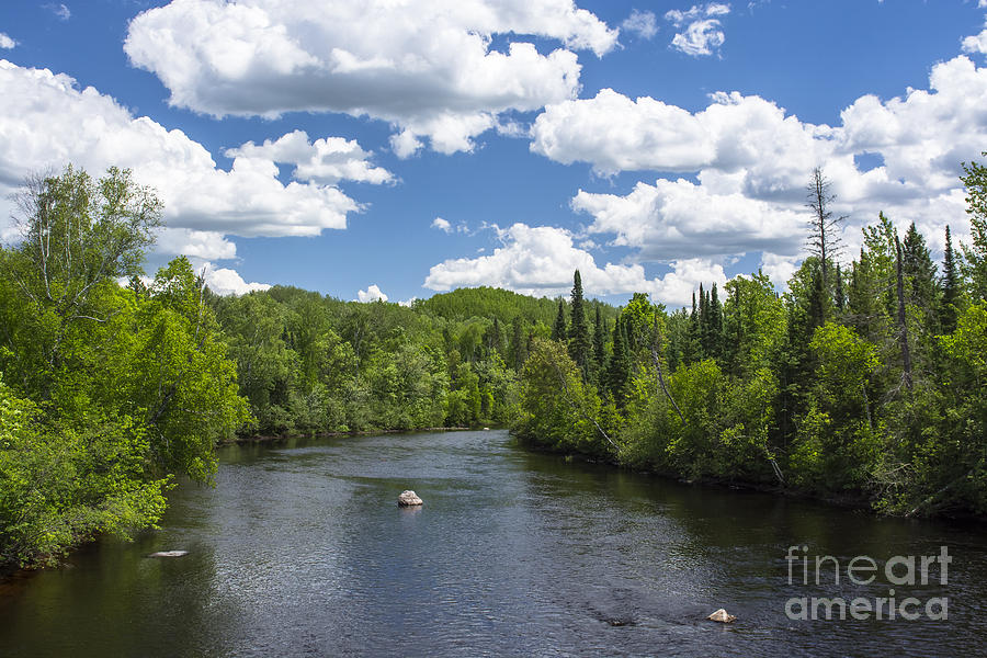 Pine River Photograph by Dan Hefle