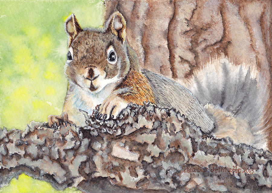 Wildlife Painting - Pine Squirrel by Heather Stinnett