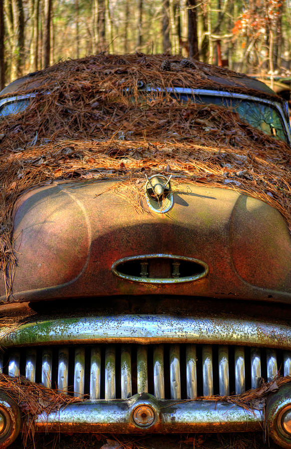 Buick Photograph - Pine Straw On Buick by Greg and Chrystal Mimbs