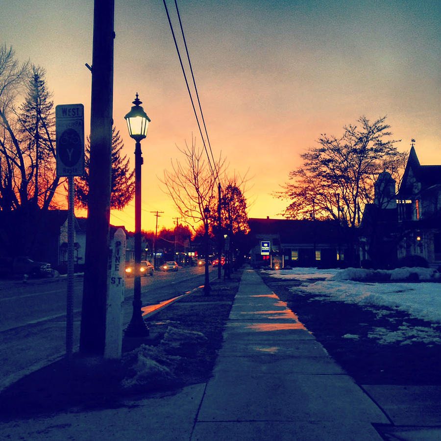 Pine Street Photograph by Natalie Lizza - Fine Art America