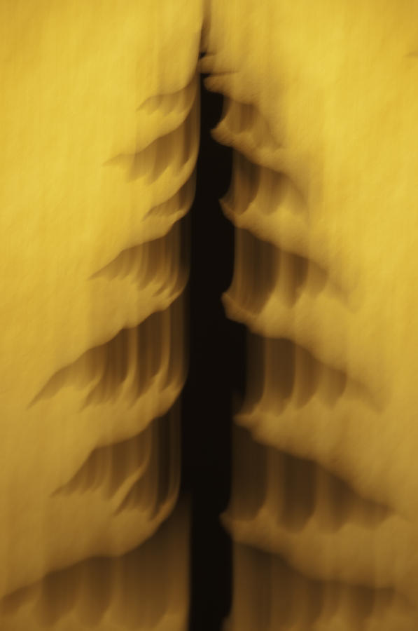 Pine Tree Abstract 2 Photograph by Sherri Meyer
