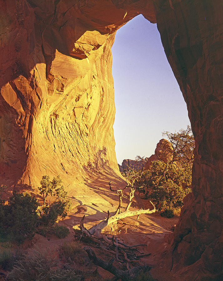 Arches National Park Photograph - Pine Tree Arch by Craig Ratcliffe