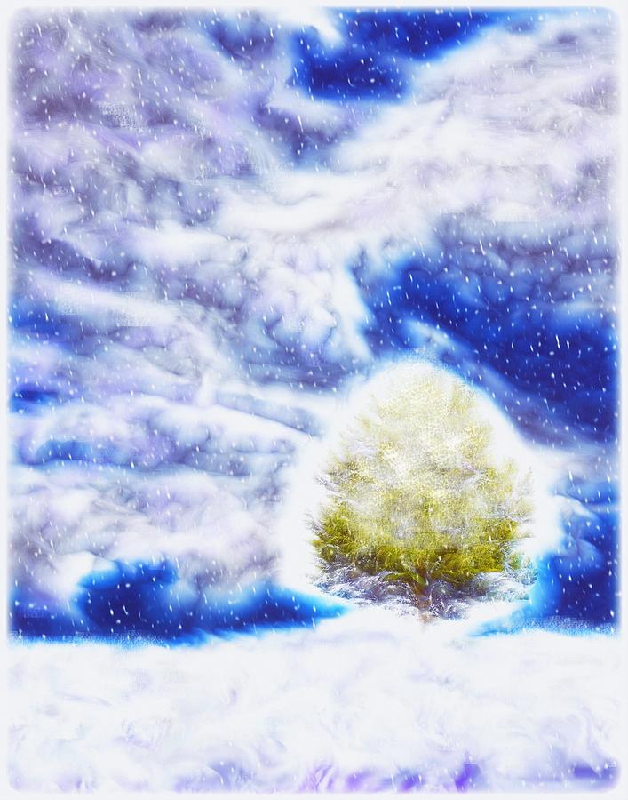 Pine Tree in Winter Digital Art by Lilia D