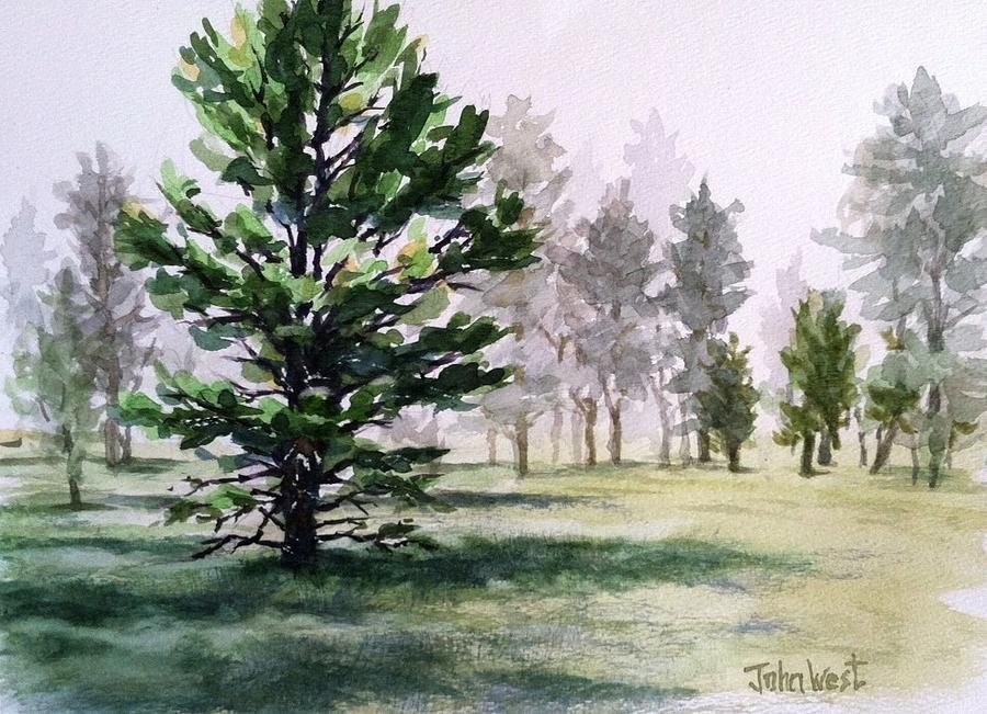Pine Tree Morning Fog Painting by John West