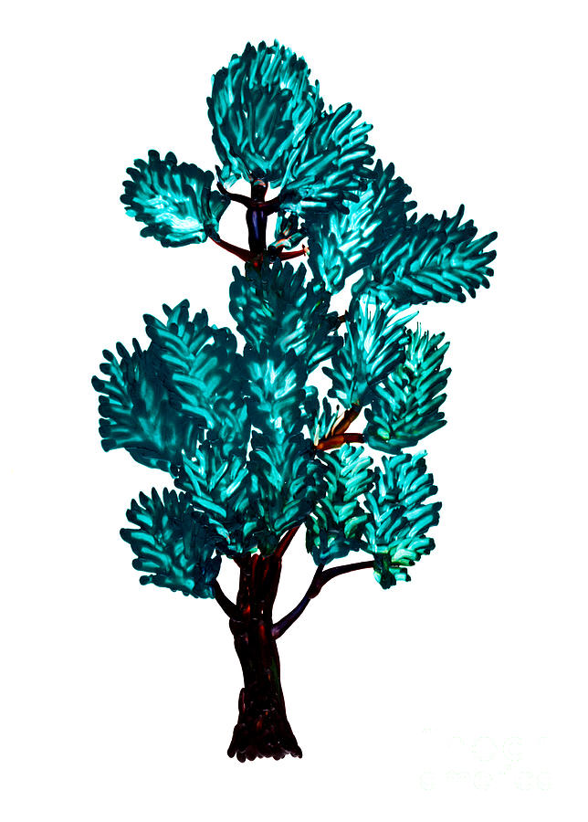 Nature Painting - Pine tree painting isolated by Simon Bratt