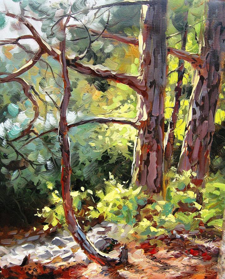 Pine Trees In Sunlight Painting