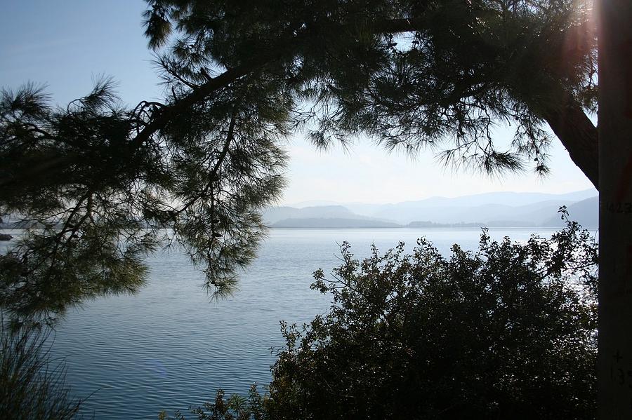 Pine Trees Overhanging The Aegean Sea Photograph by Taiche Acrylic Art