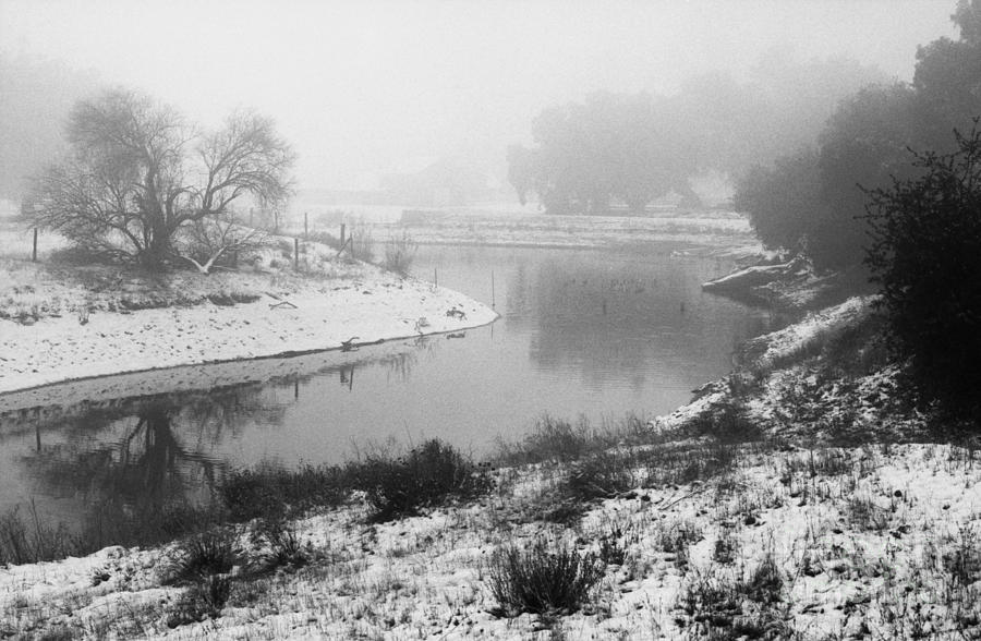 Pine Valley Fog Photograph