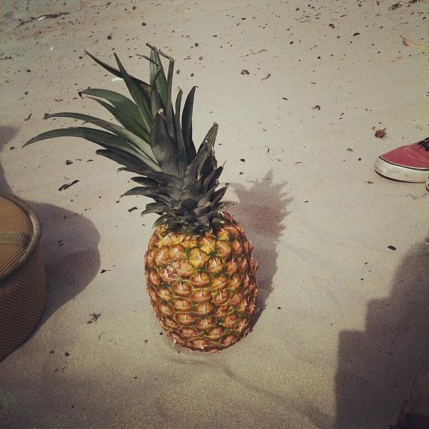 Pineapple And Wine At Da Beach Photograph by Mackensienoelle Leek