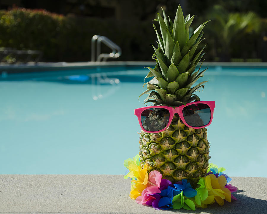 Funny Pineapple Photograph