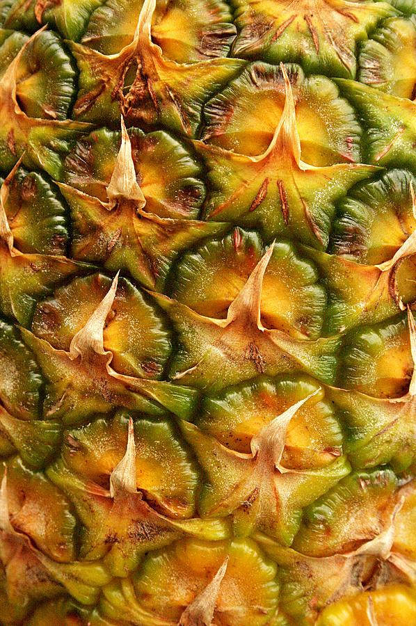 Pineapple Close-Up Photograph by Barbara West