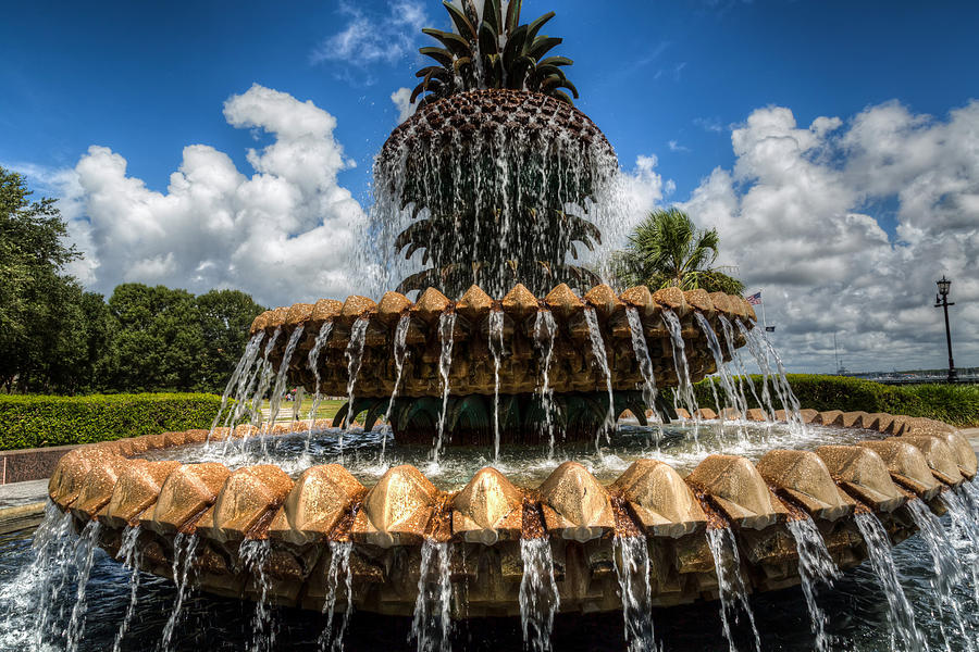 Pineapple Fountain 1 Photograph by John Hoey