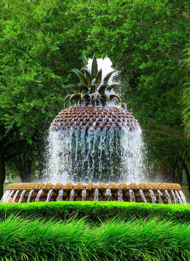 Pineapple Fountain 1 Photograph by Randall Weidner