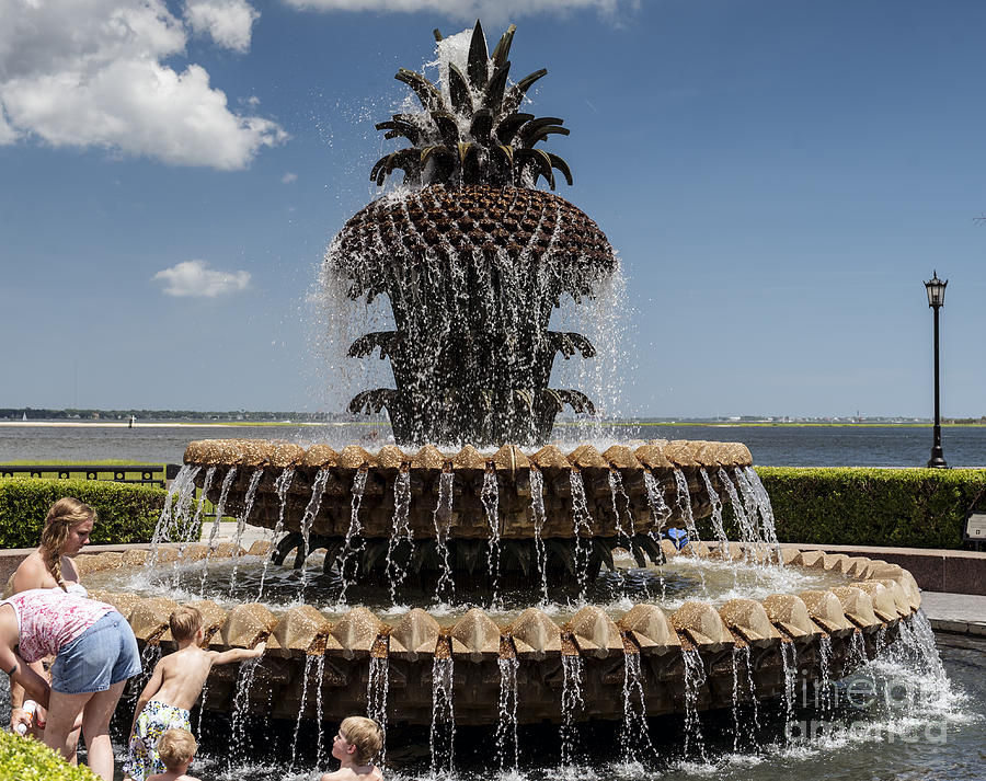 Pineapple Fountain at Waterfront Park in Charleston Photograph by David Oppenheimer