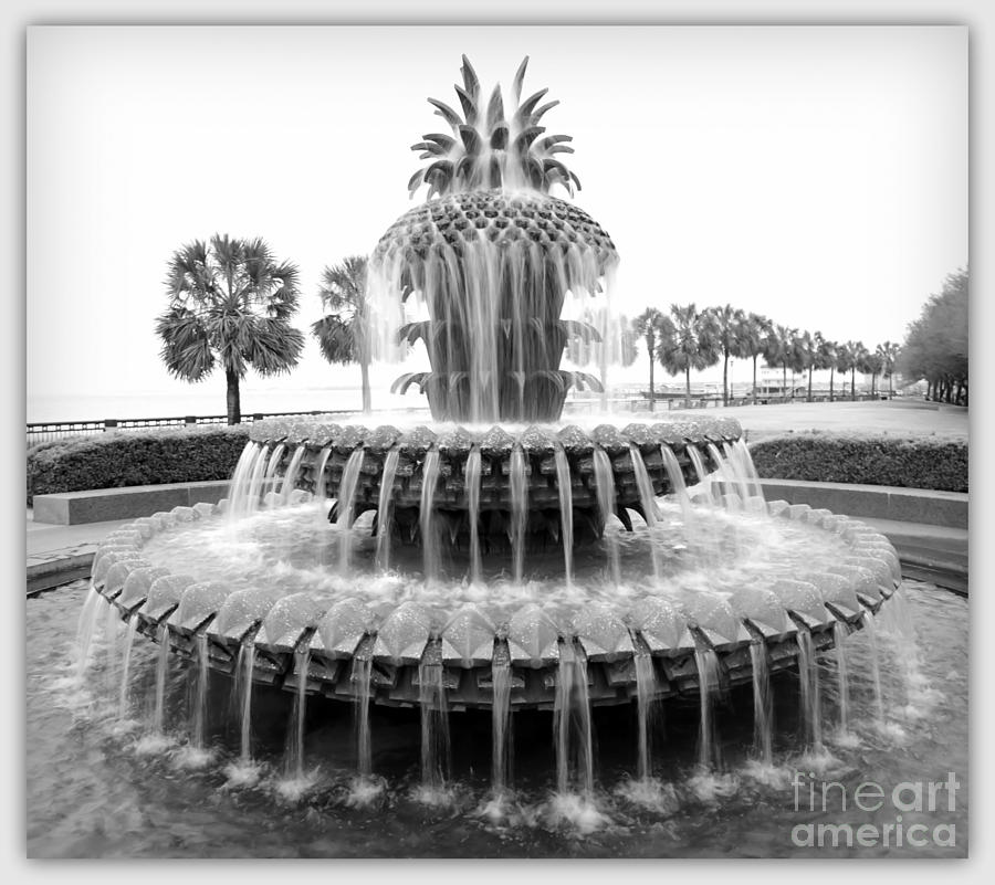Pineapple Fountain - Black and White Photograph by Carol Groenen