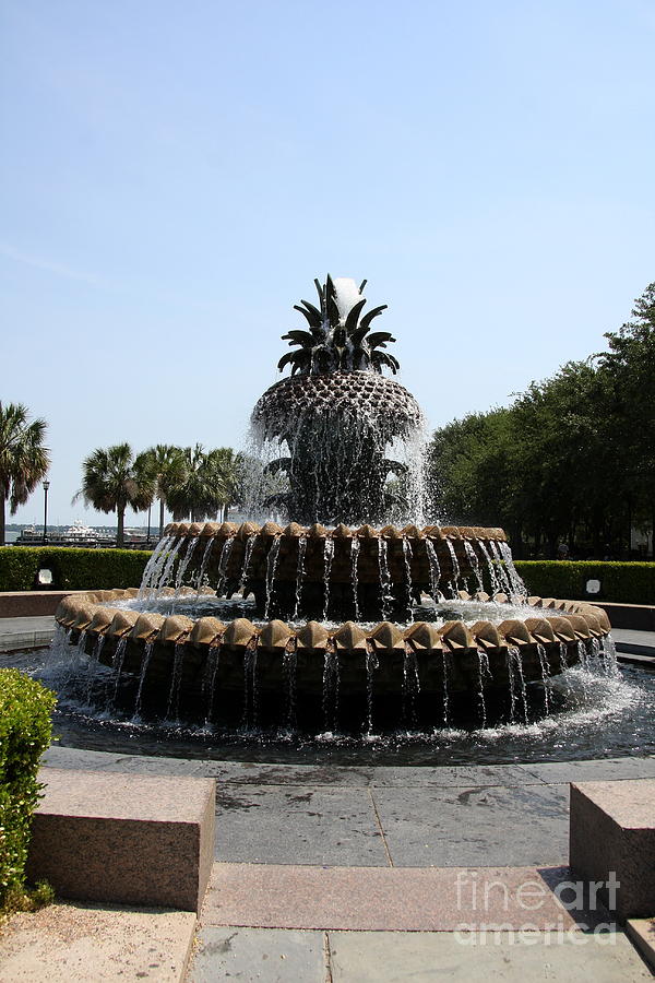 Nature Photograph - Pineapple Fountain Charleston River Park by Christiane Schulze Art And Photography
