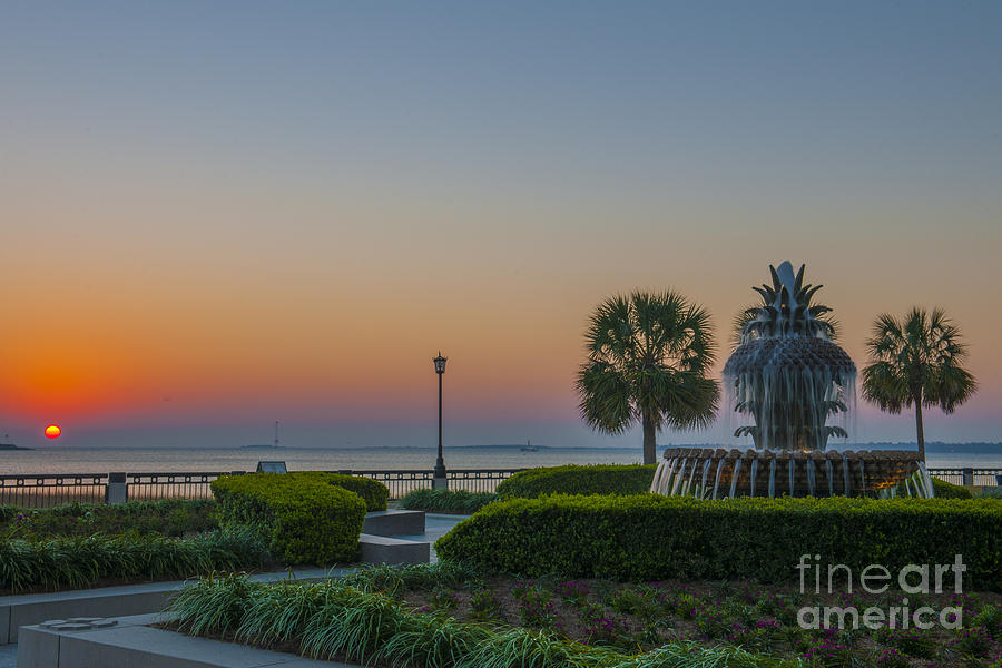 Pineapple Fountain Photograph - Dawns Light by Dale Powell