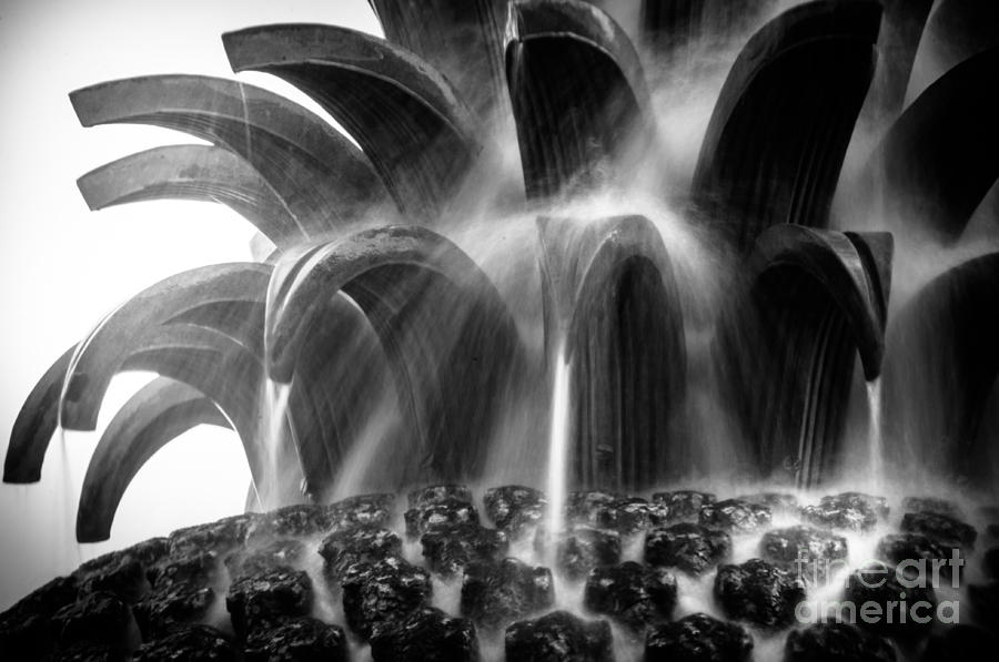Black And White Photograph - Pineapple Fountain Detail by Sam Hymas