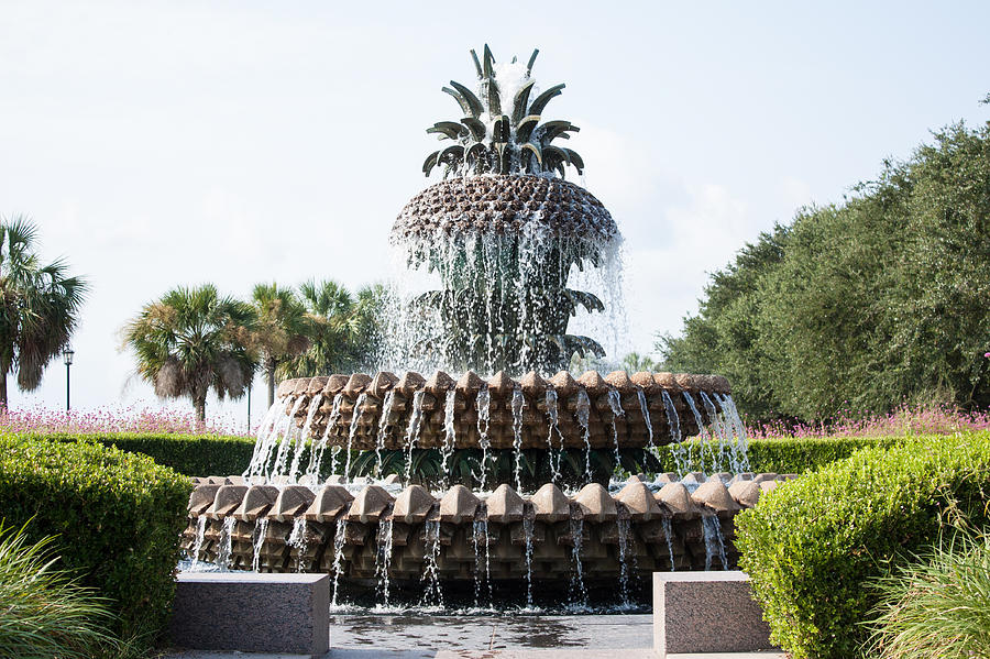 Pineapple Fountain Photograph by Franklin Jones Fine Art America