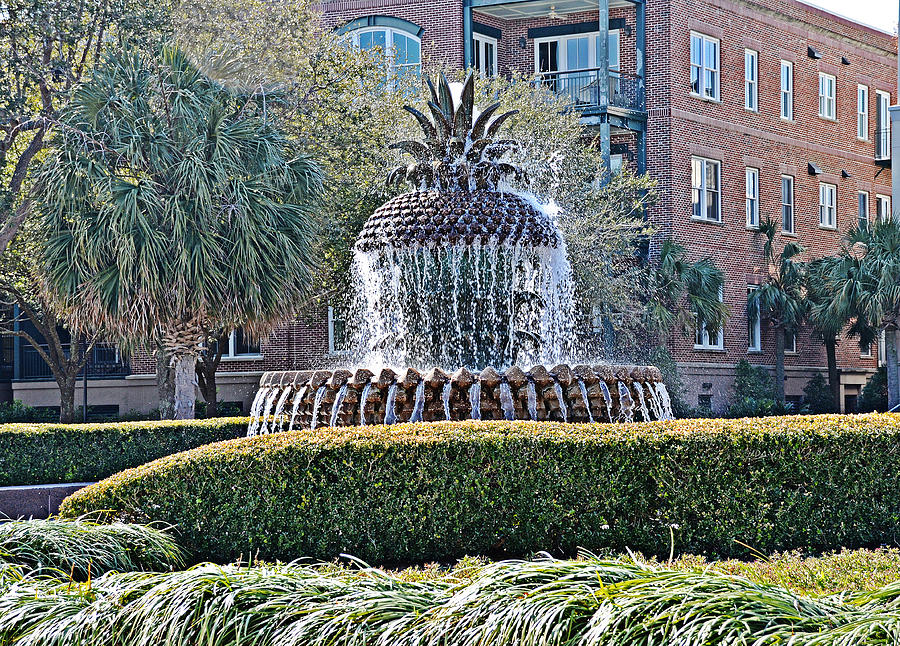 Pineapple Fountain Photograph by Linda Brown