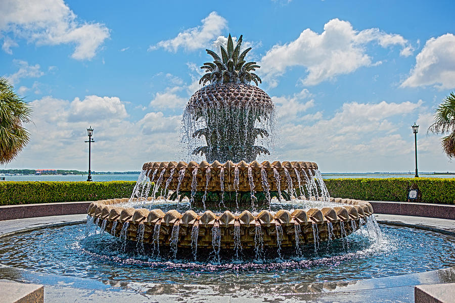 Pineapple Fountain Photograph by Sennie Pierson