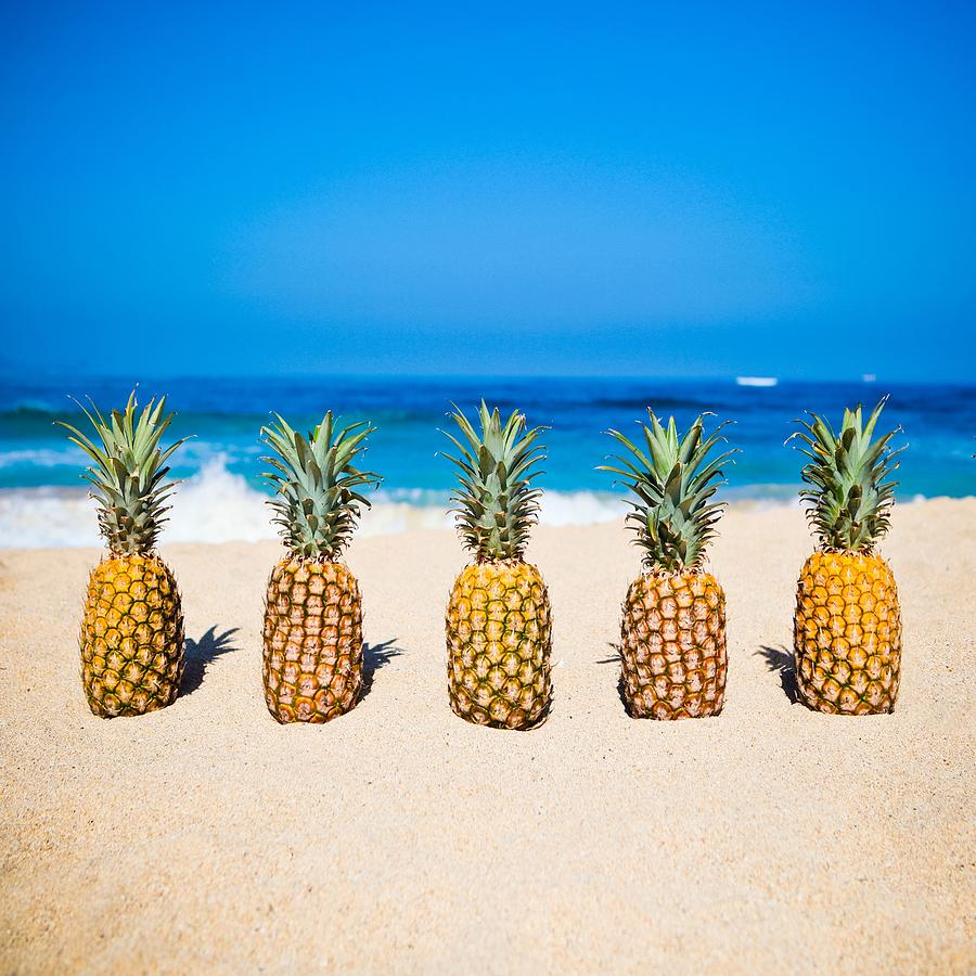 Pineapple Horizons Photograph by Angelina Hills