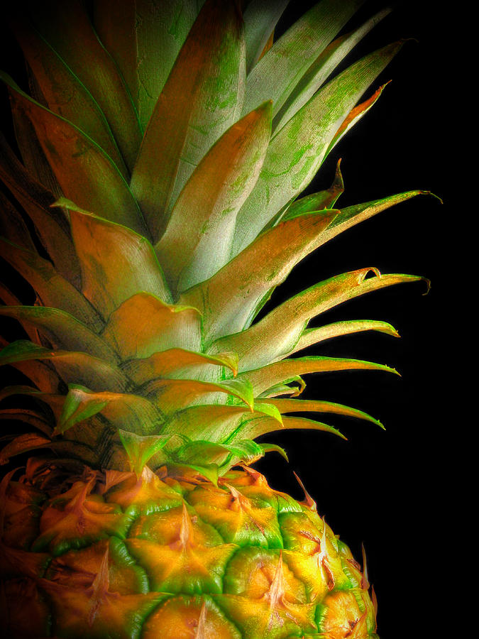 Still Life Photograph - Pineapple I by David and Carol Kelly