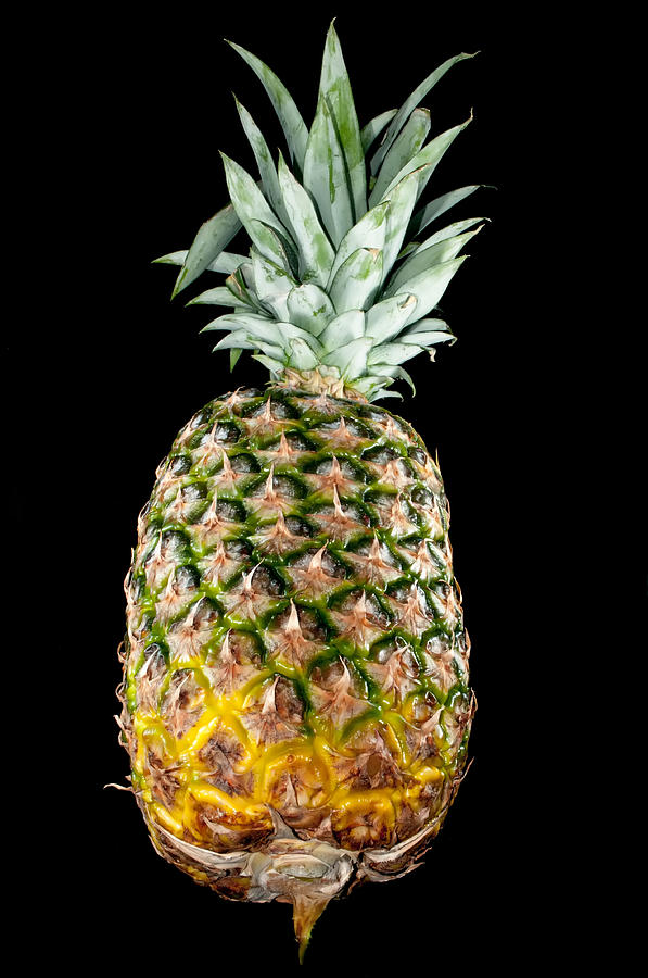 Pineapple Isolated On Black Photograph by Alex Grichenko