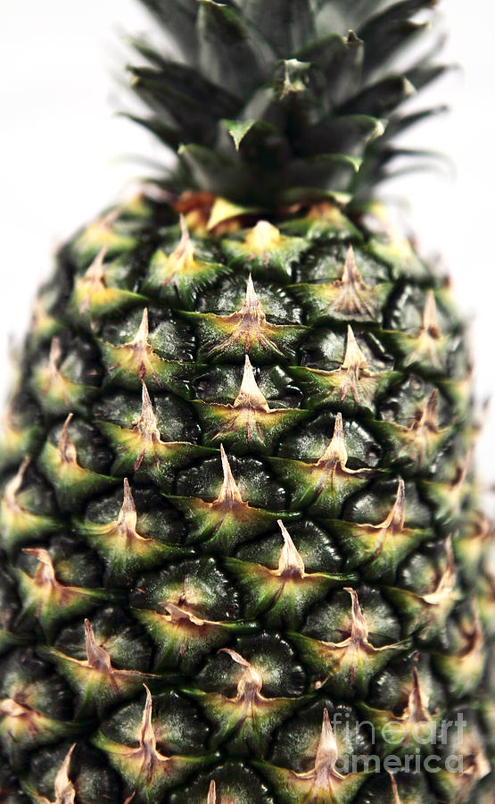 Pineapple Photograph by John Rizzuto