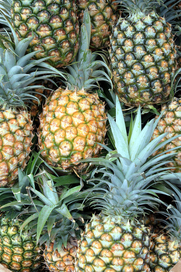 Pineapple Photograph - Pineapple Paradise by Karen Nicholson