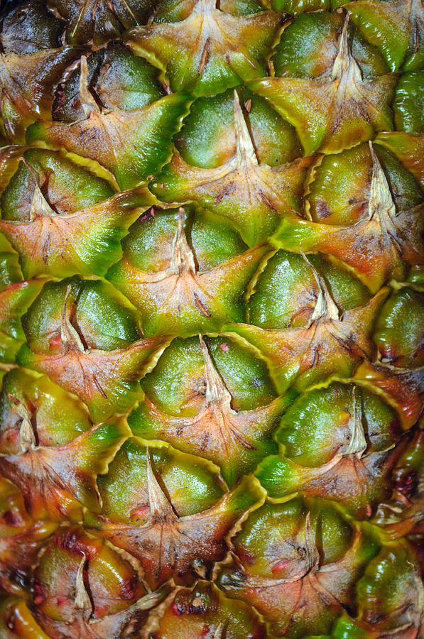Pineapple Skin Photograph by Tikvahs Hope